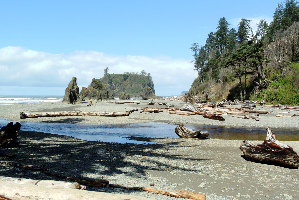 Olympic National Park collection image showing Ruby Beach and Pacific Northwest coastal scenery
