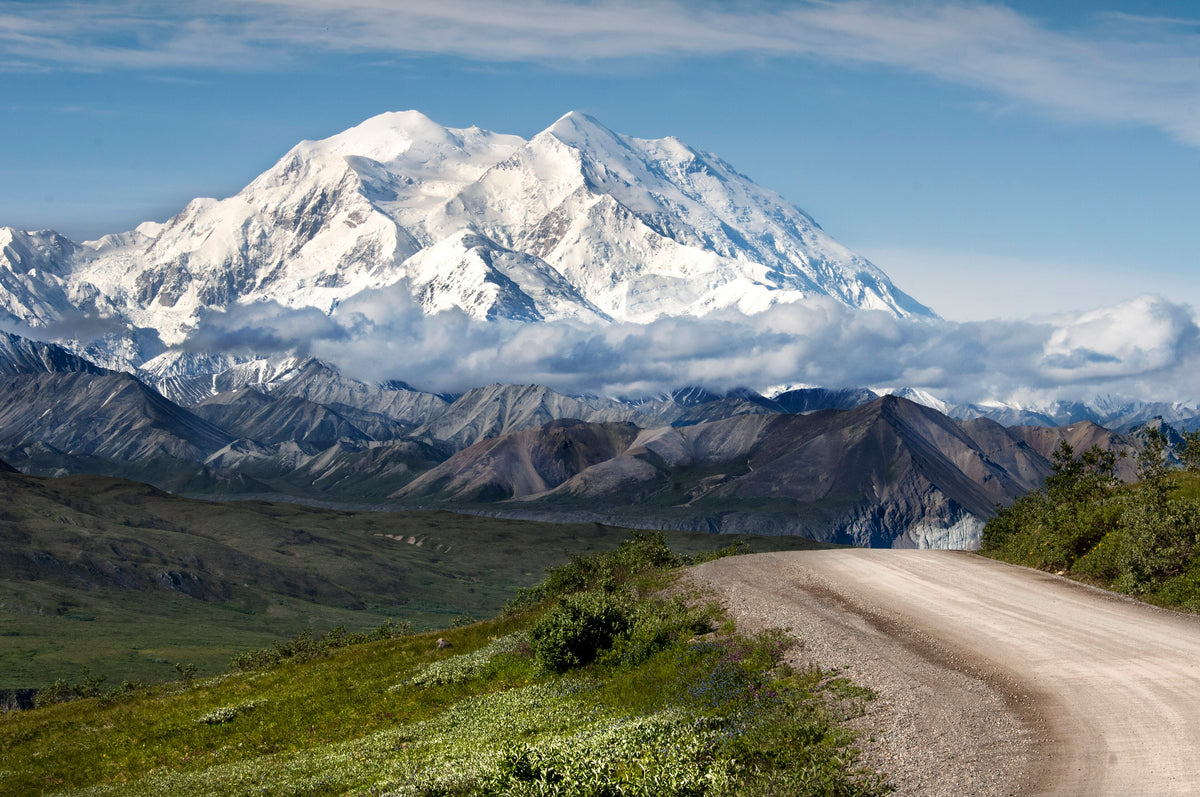 Denali National Park