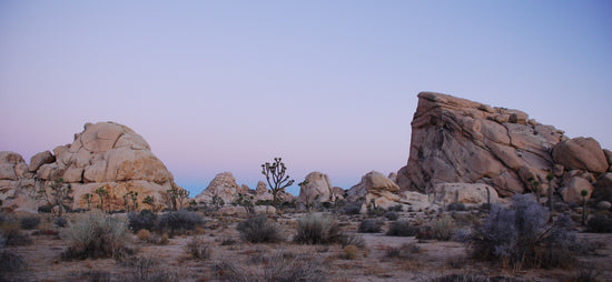 Joshua Tree National Park collection image showing desert boulders and Joshua trees at sunrise