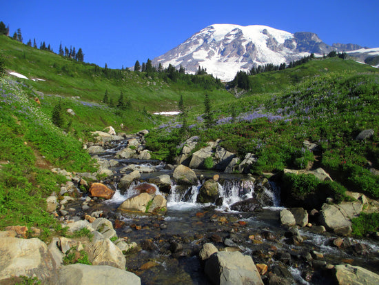 Mount Rainier National Park collection image showing Mount Rainier above Myrtle Falls