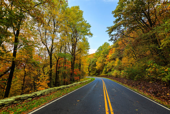 Shenandoah National Park collection image showing Skyline Drive fall foliage