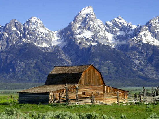 Grand Teton National Park collection image showing historic barns and Teton mountain range
