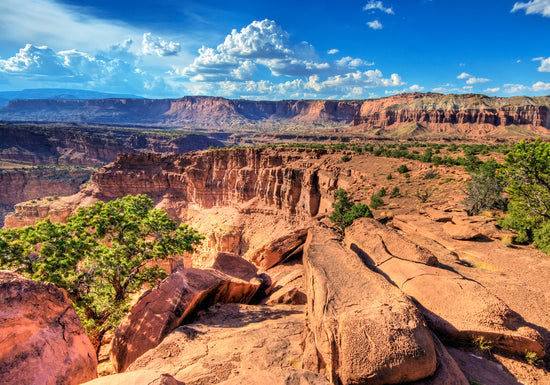 Capitol Reef National Park collection image showing Utah red rock desert landscape