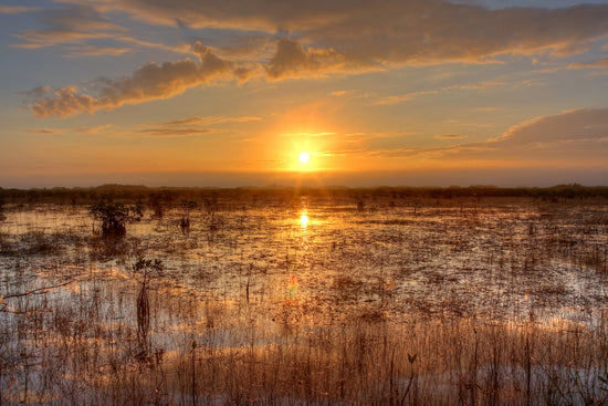 Everglades National Park collection image showing Florida wetlands and sawgrass landscape