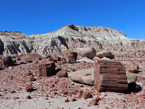 Petrified Forest National Park collection image showing Jasper Forest desert badlands