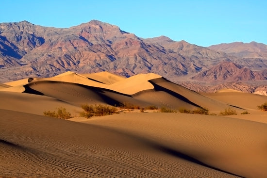 Death Valley National Park collection image showing Mesquite Flat sand dunes desert landscape