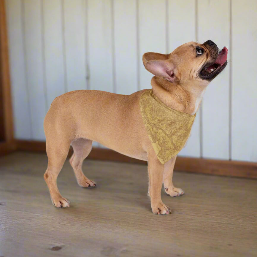 Grand Canyon National Park Topographic Dog Bandana Pets Printify 27" × 13"