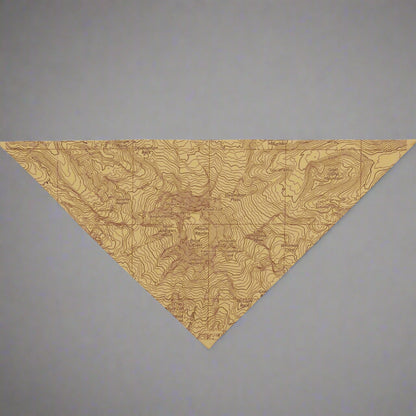 Mount Rainier Topographic Pet Bandana USGS National Park Topo Map Pets Printify