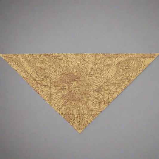 Mount Rainier Topographic Pet Bandana USGS National Park Topo Map Pets Printify