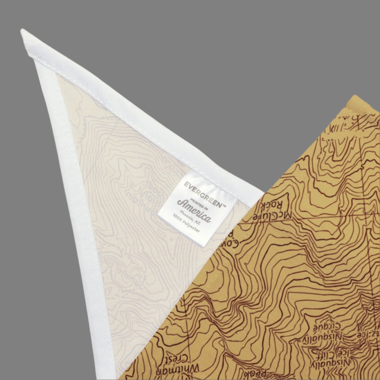 Mount Rainier Topographic Pet Bandana USGS National Park Topo Map Pets Printify