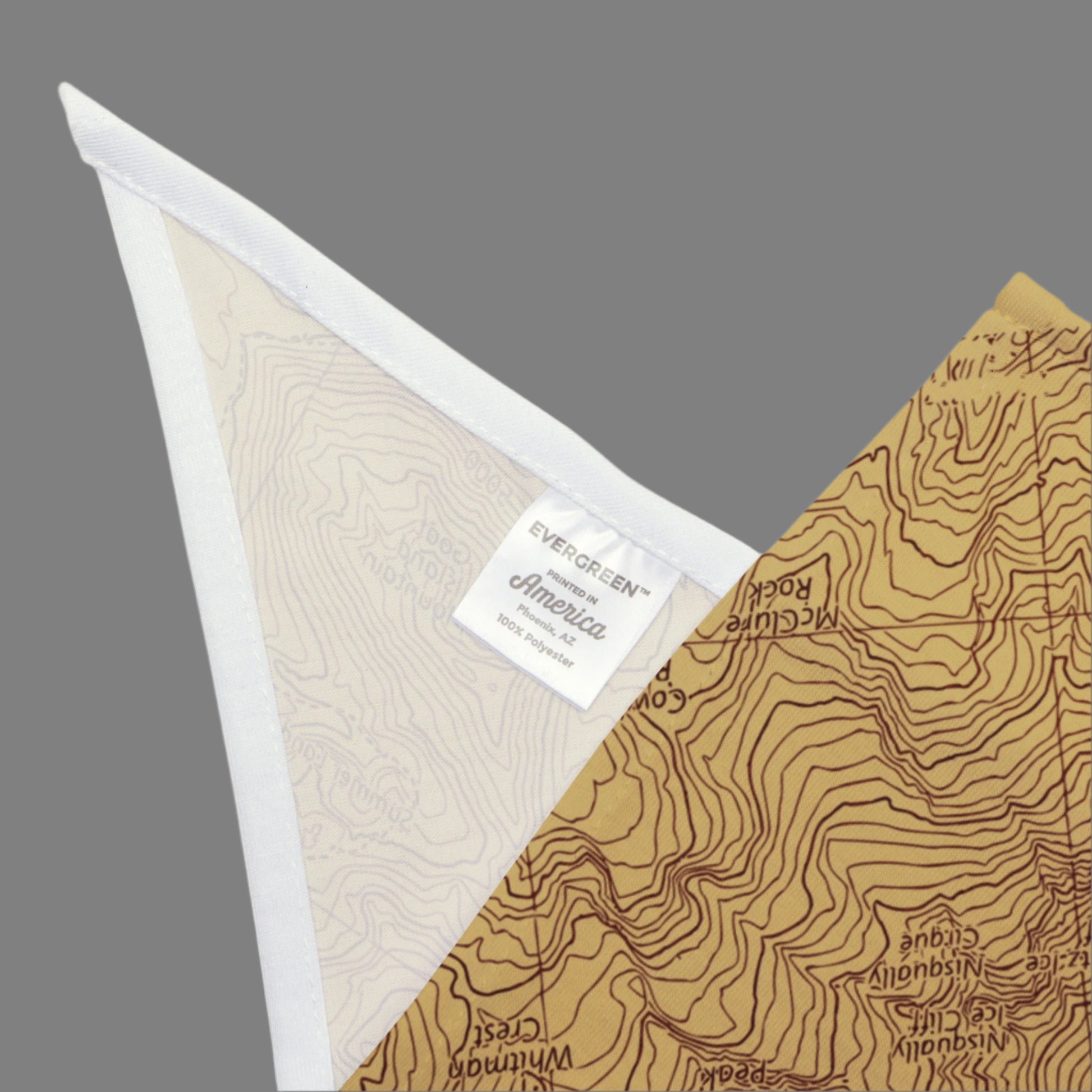 Mount Rainier Topographic Pet Bandana USGS National Park Topo Map Pets Printify