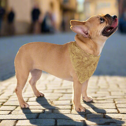 Mount Rainier Topographic Pet Bandana USGS National Park Topo Map Pets Printify 20" × 10"