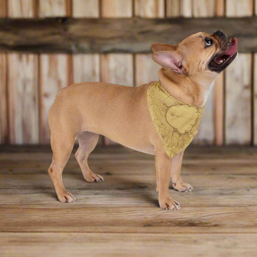 Crater Lake National Park Topographic Dog Bandana USGS Topo Map Pets Printify 20" × 10"