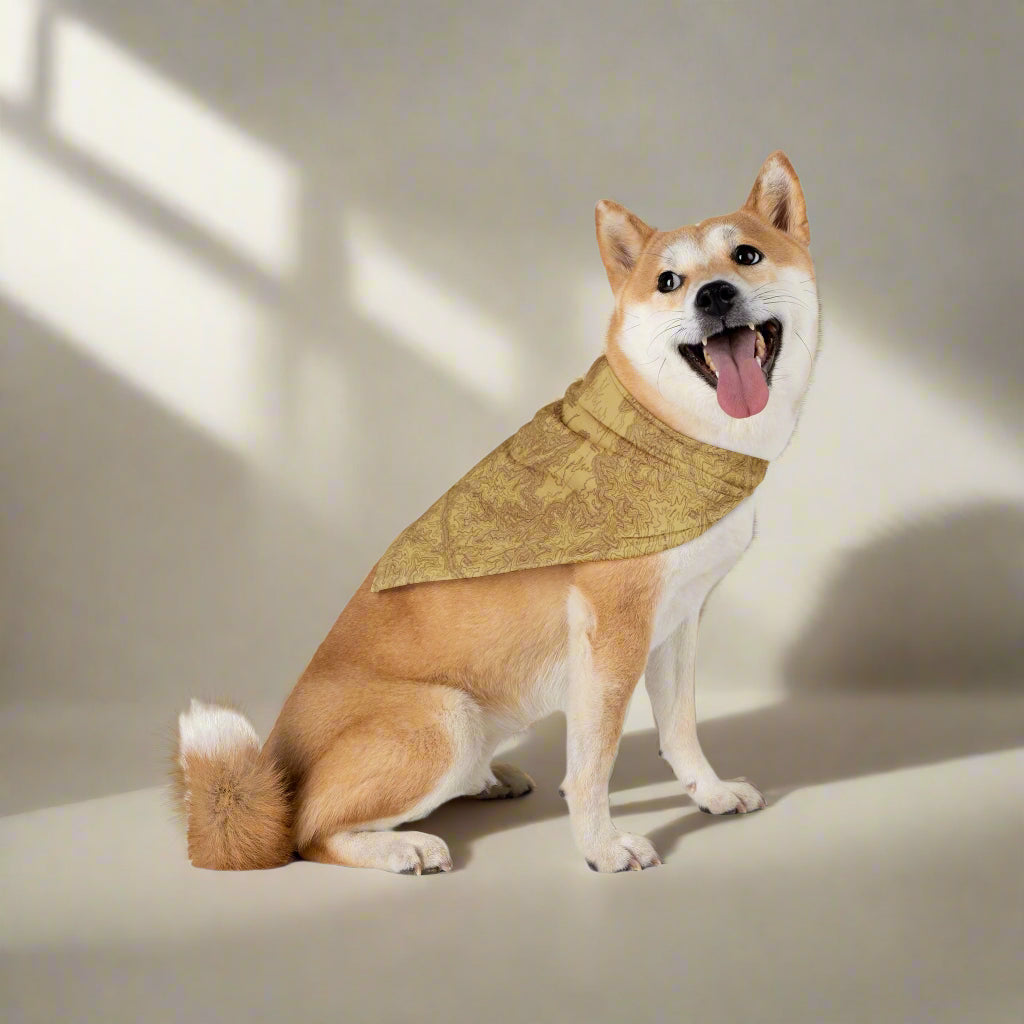 Grand Canyon National Park Topographic Dog Bandana Pets Printify 20" × 10"