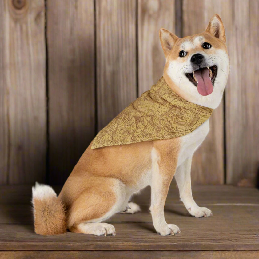 Mount Rainier Topographic Pet Bandana USGS National Park Topo Map Pets Printify 27" × 13"