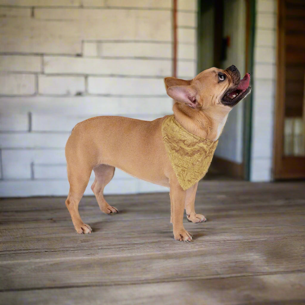 Yosemite National Park Topographic Pet Bandanna Pets Printify