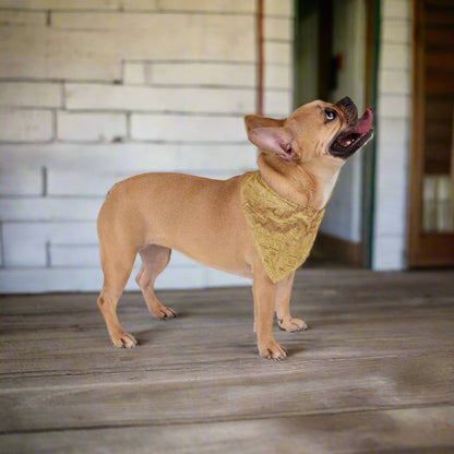 Yosemite National Park Topographic Pet Bandanna Pets Printify