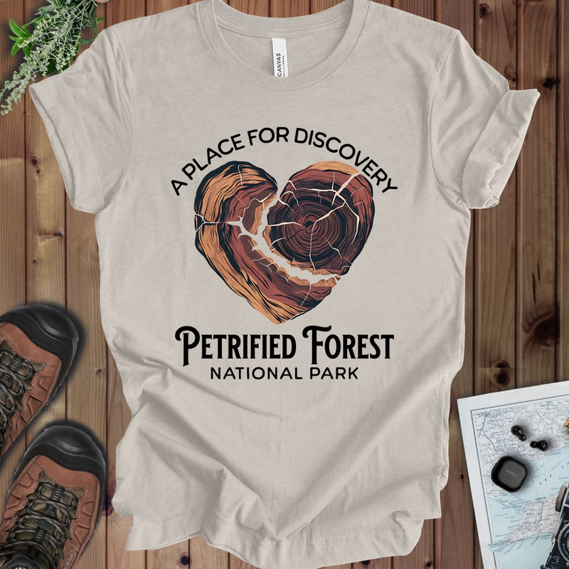 Petrified Forest National Park  Heart Wood Kids Graphic T-Shirt in Heather Dust