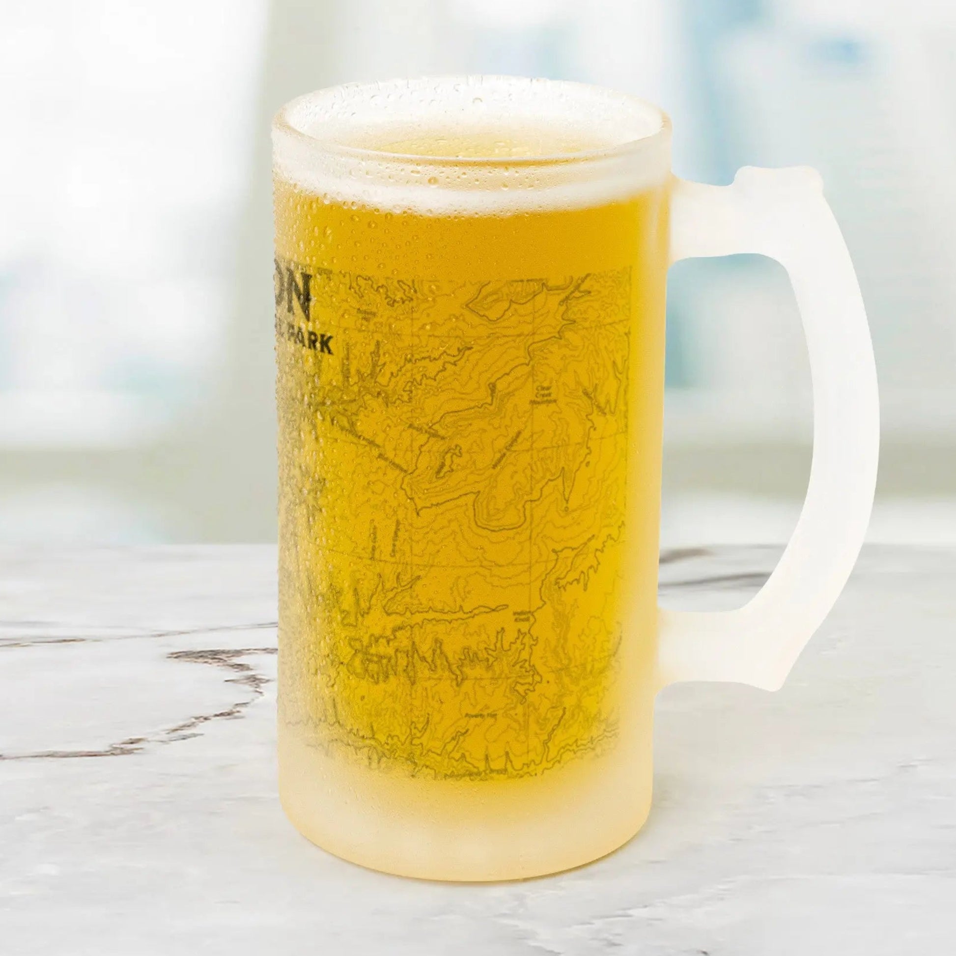 Zion National Park Topographic Frosted Mug Pint Glass Pint Mug teelaunch Default Title