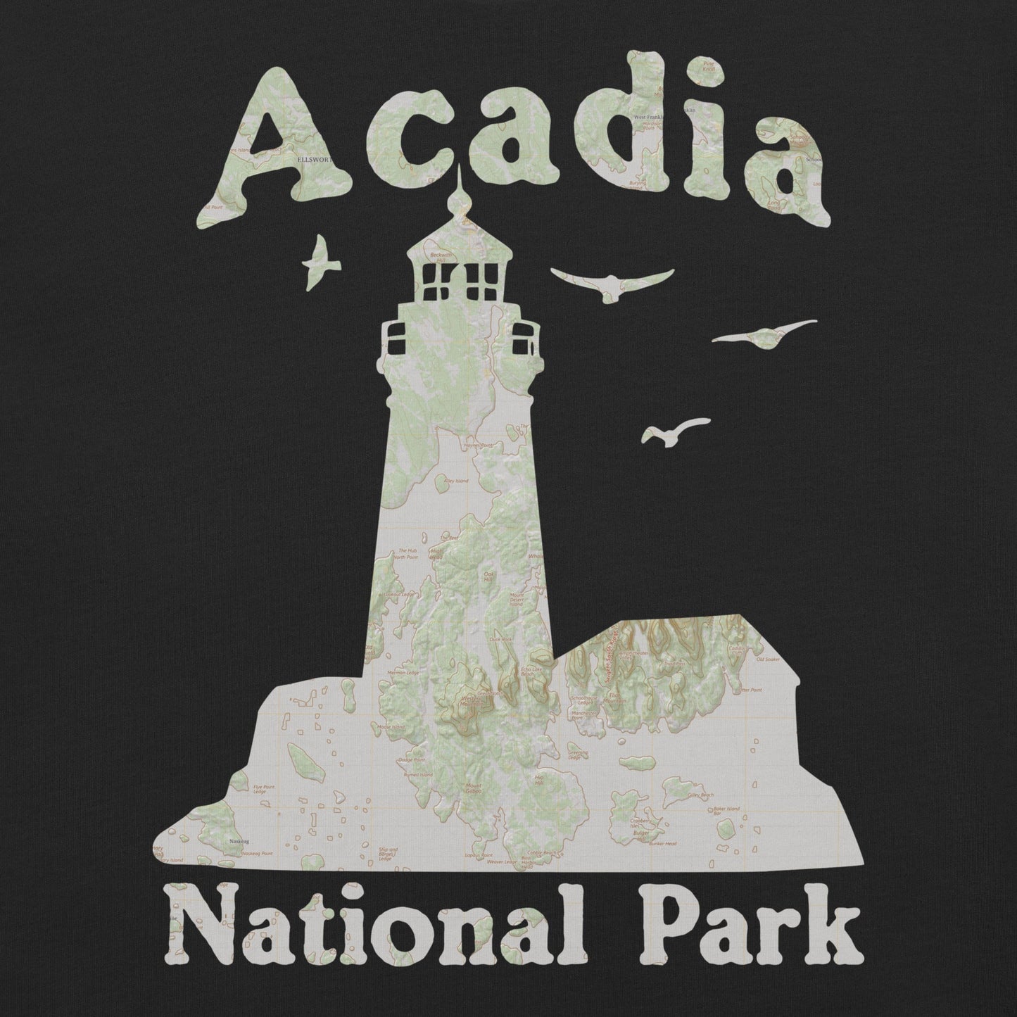 Acadia Lighthouse national park topo t-shirt alternate apparel color or product angle