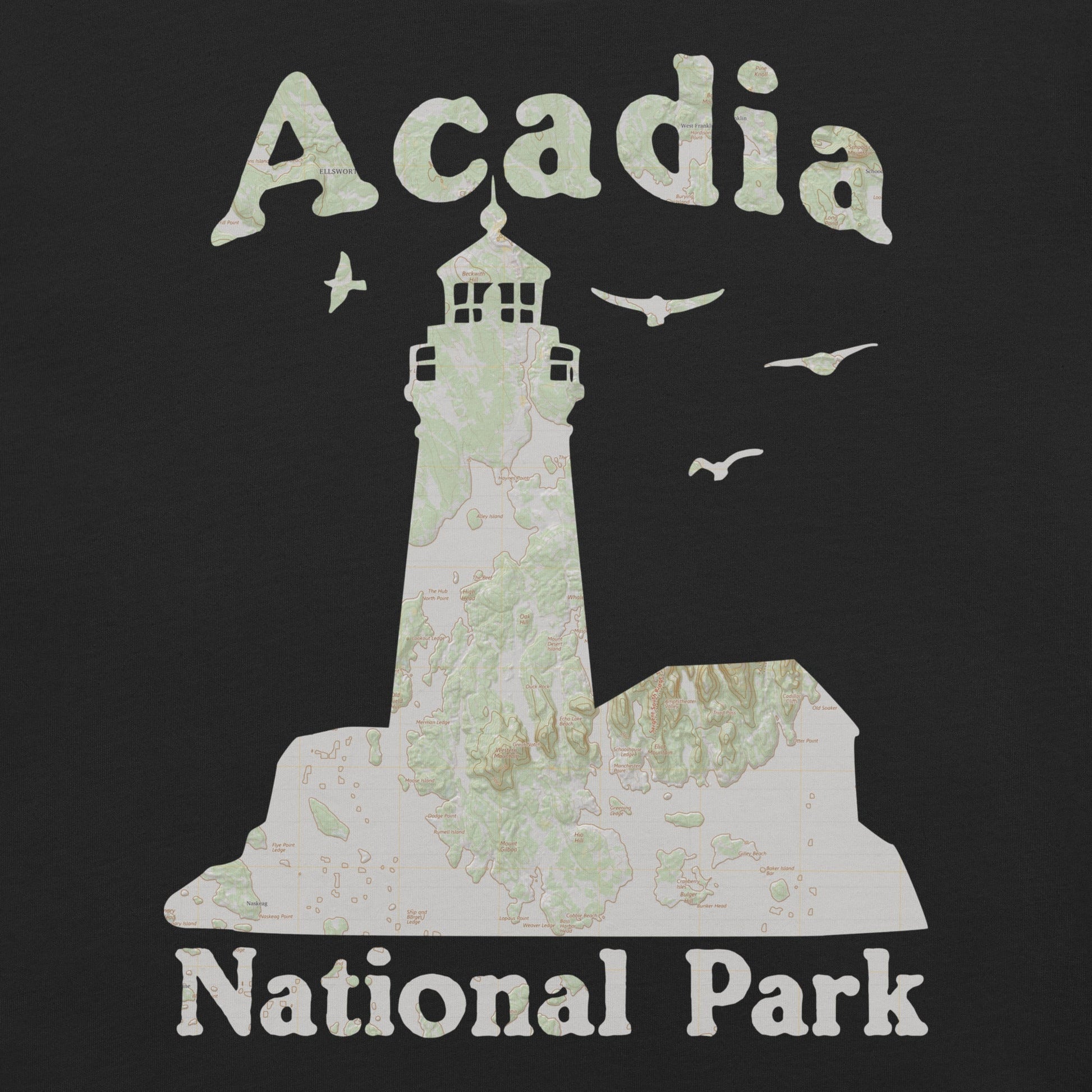 Acadia Lighthouse national park topo t-shirt alternate apparel color or product angle