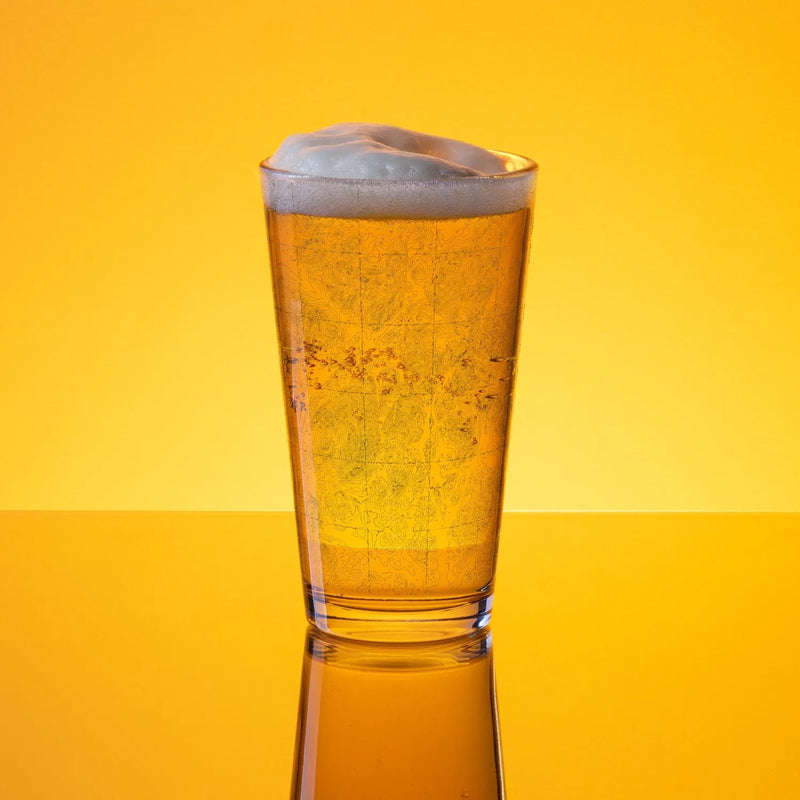 Adirondacks topographic pint glass with topo map print showing design detail or product variation