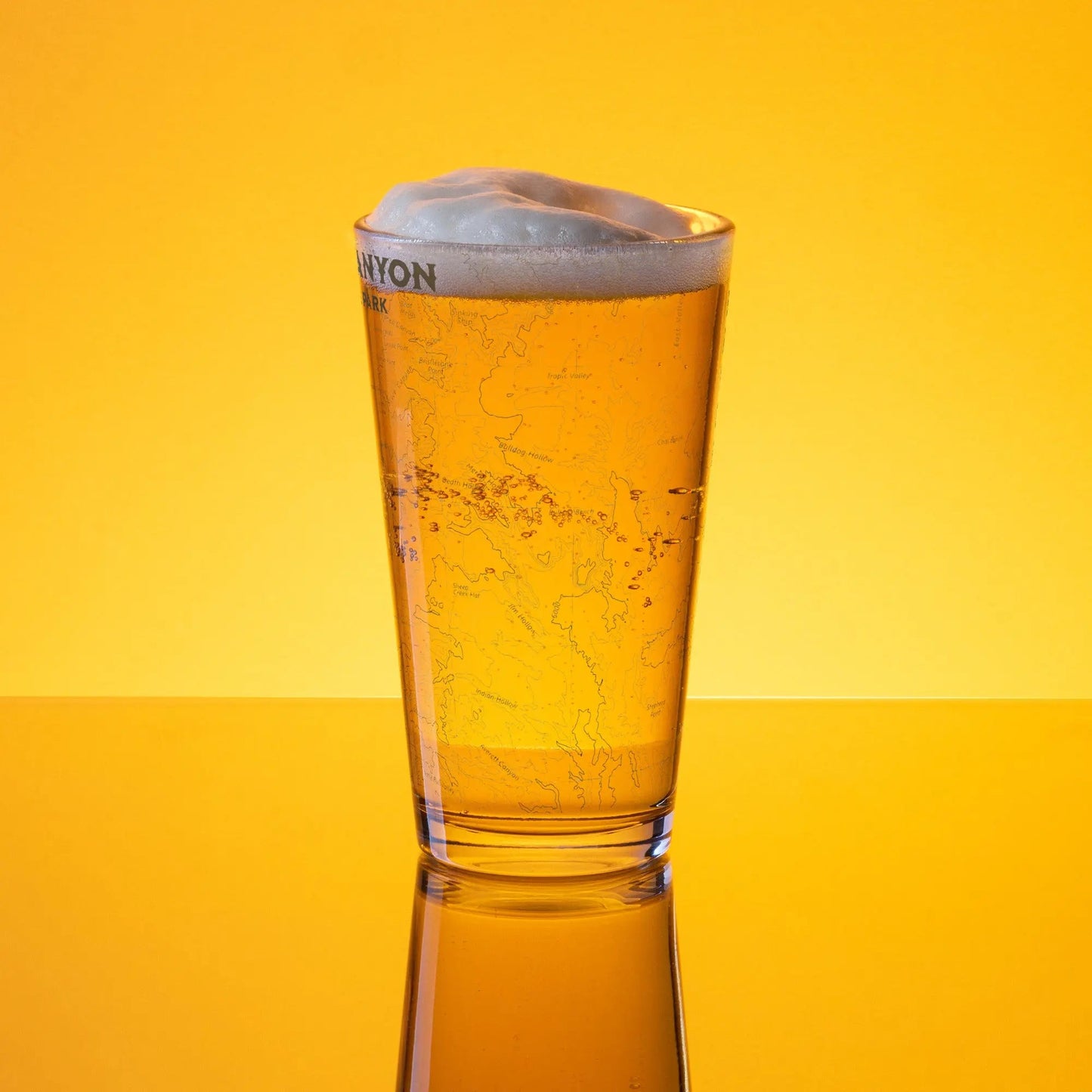 Bryce Canyon National Park Topographic Pint Glass - Parks ApparelDrinkware