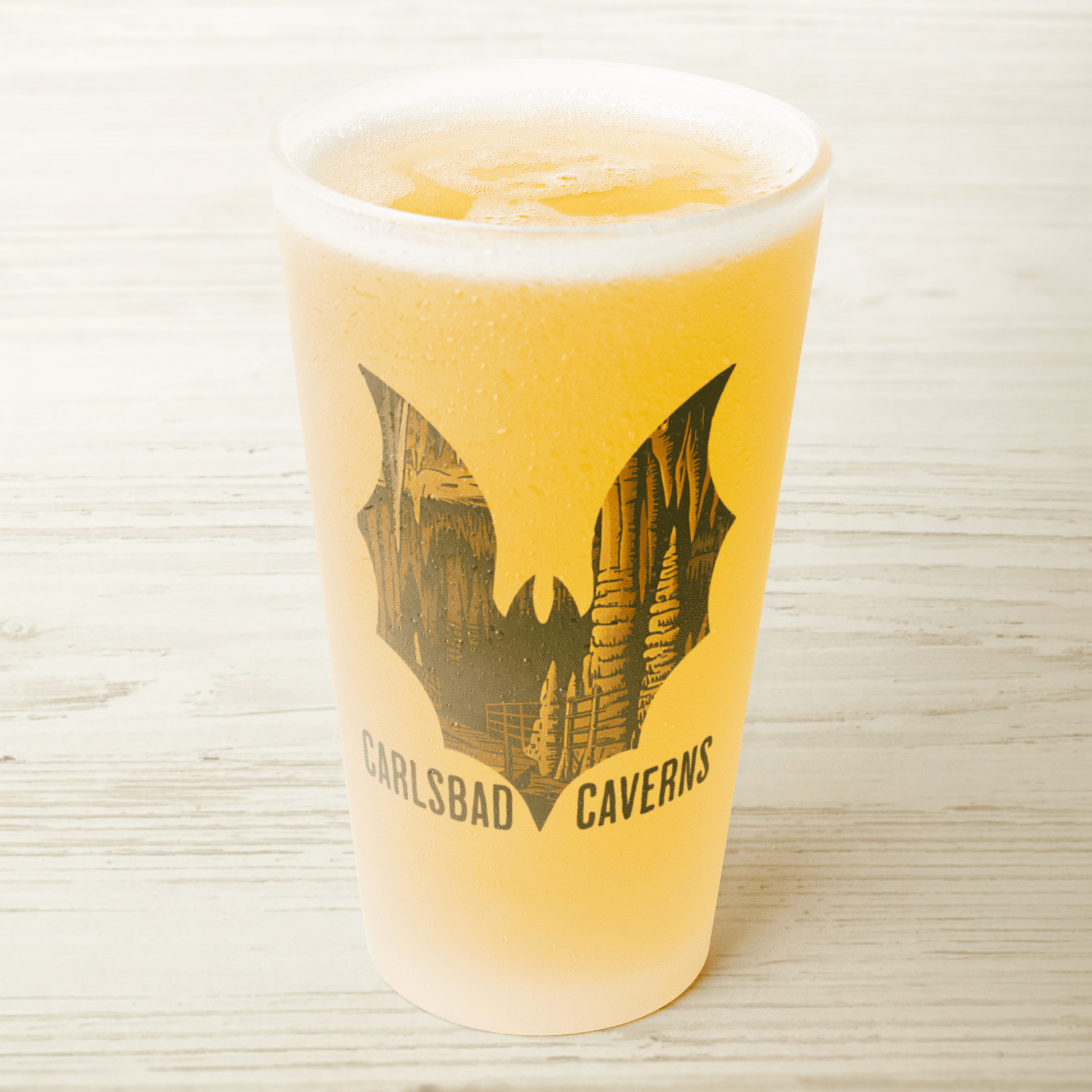 Carlsbad Caverns National Park Bat Frosted Mug - Parks Apparelpint glass