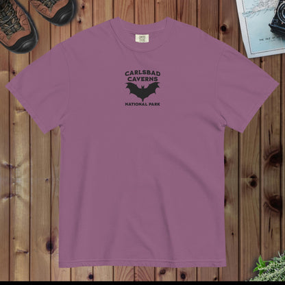 Carlsbad Caverns National Park premium embroidered t-shirt detail or alternate product view