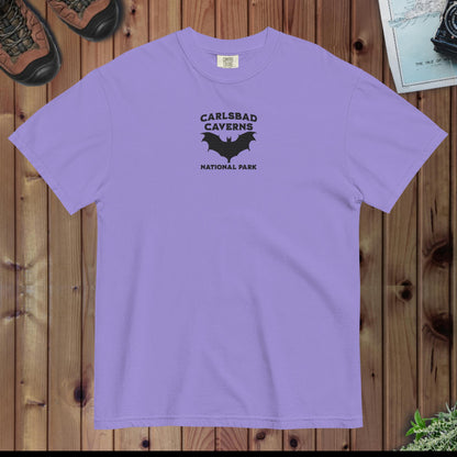 Carlsbad Caverns National Park Premium Embroidered T-shirt - Parks ApparelT-Shirt