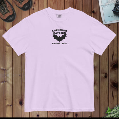 Carlsbad Caverns National Park Premium Embroidered T-shirt - Parks ApparelT-Shirt