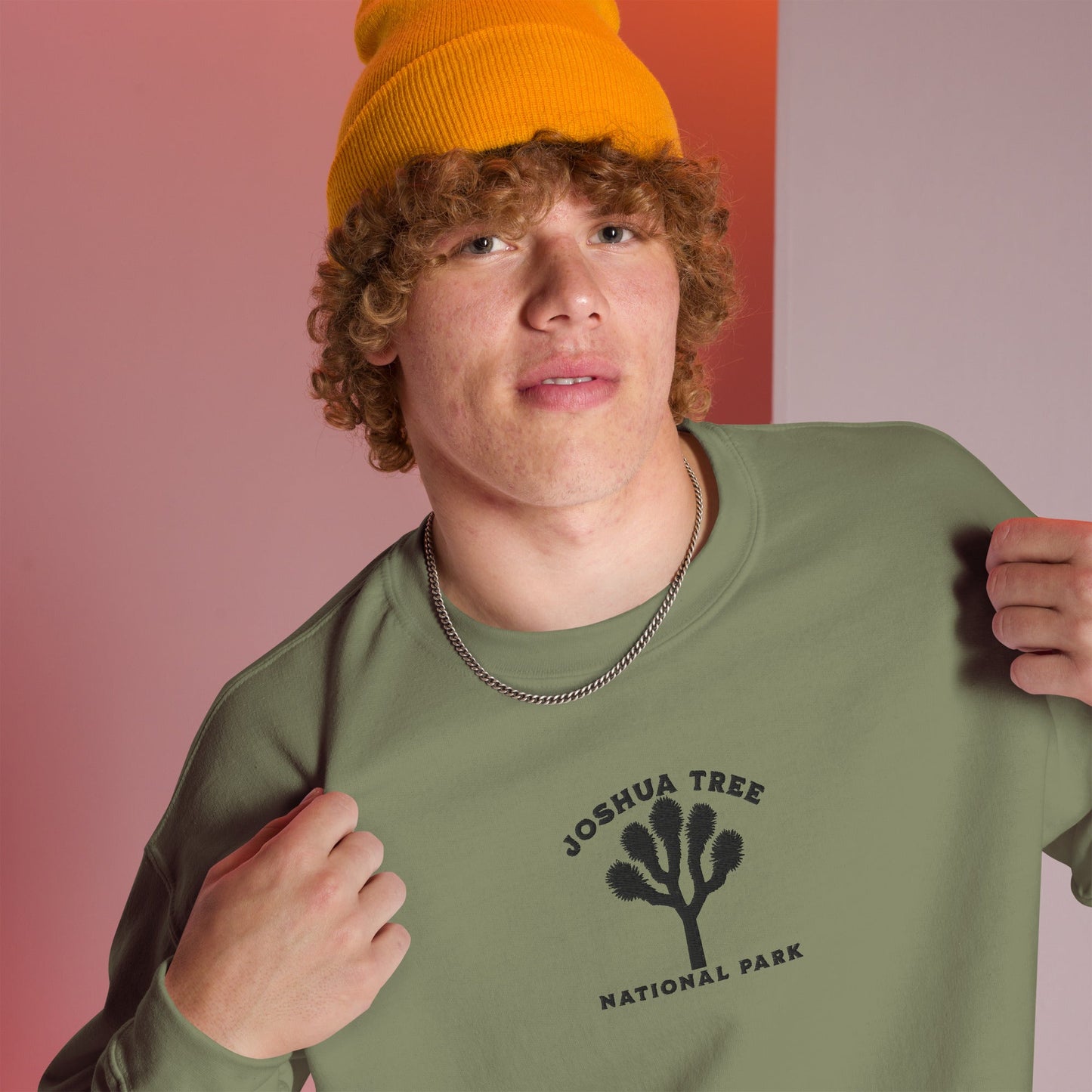 Joshua Tree National Park embroidered crewneck sweatshirt alternate apparel color or product angle