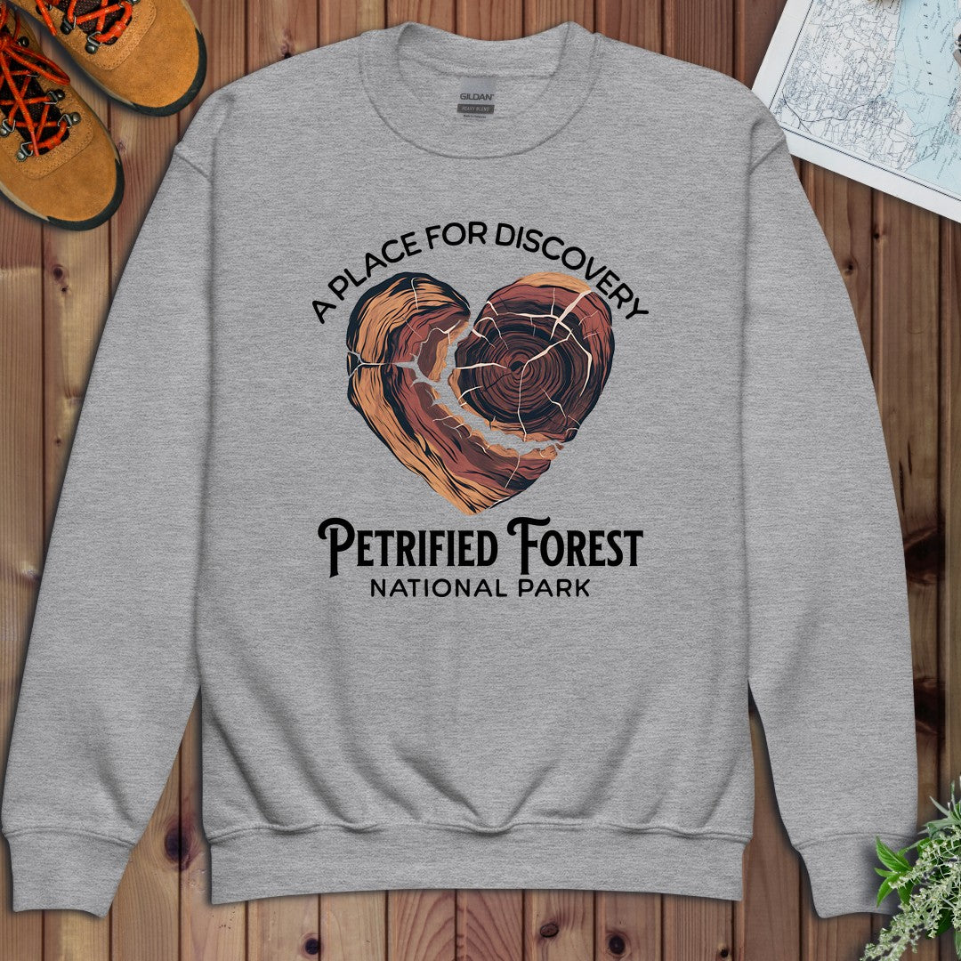Petrified Forest National Park Heart Wood Youth Sweatshirt in Athletic Heather