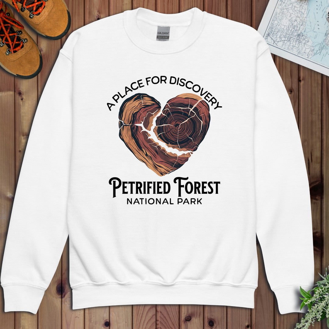 Petrified Forest National Park Heart Wood Youth Sweatshirt in White