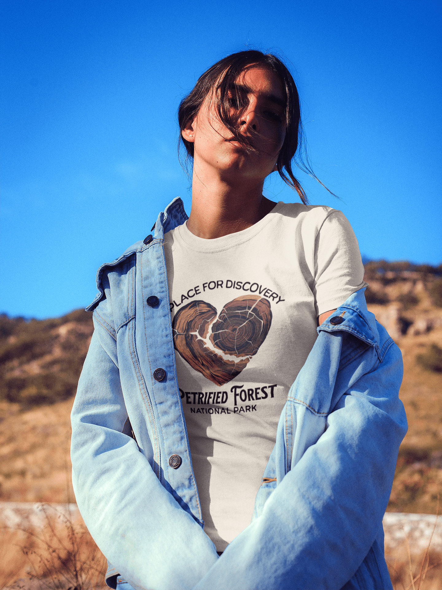 Petrified Forest National Park Heart Wood graphic t-shirt shown in lifestyle or modeled setting