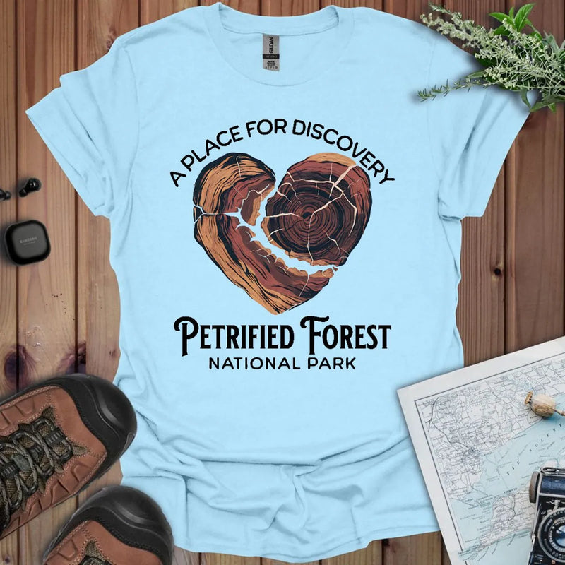 Petrified Forest National Park Heart Wood graphic t-shirt shown from alternate product angle