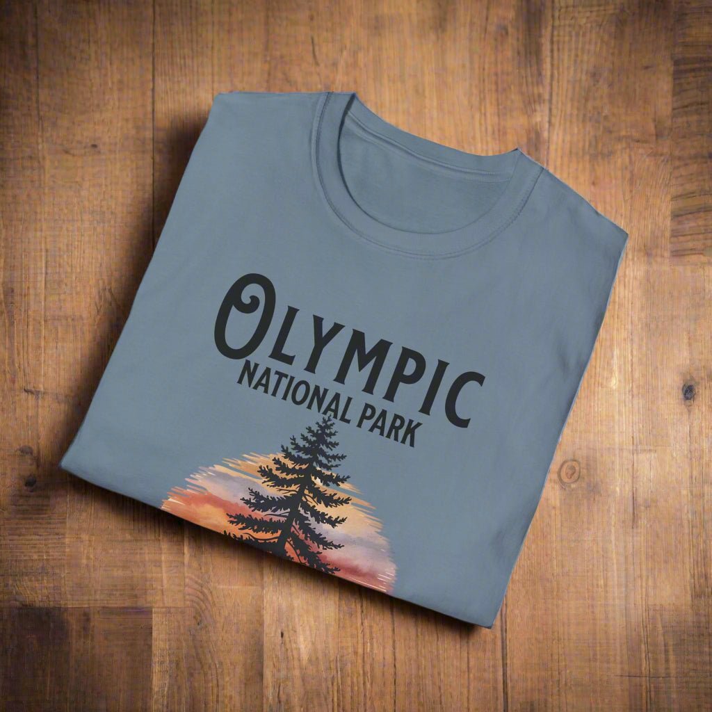 Protect Our Parks Olympic graphic t-shirt shown in lifestyle or modeled setting