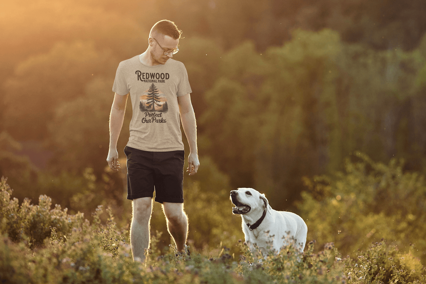 Protect Our Parks Redwood graphic t-shirt alternate apparel color or angle