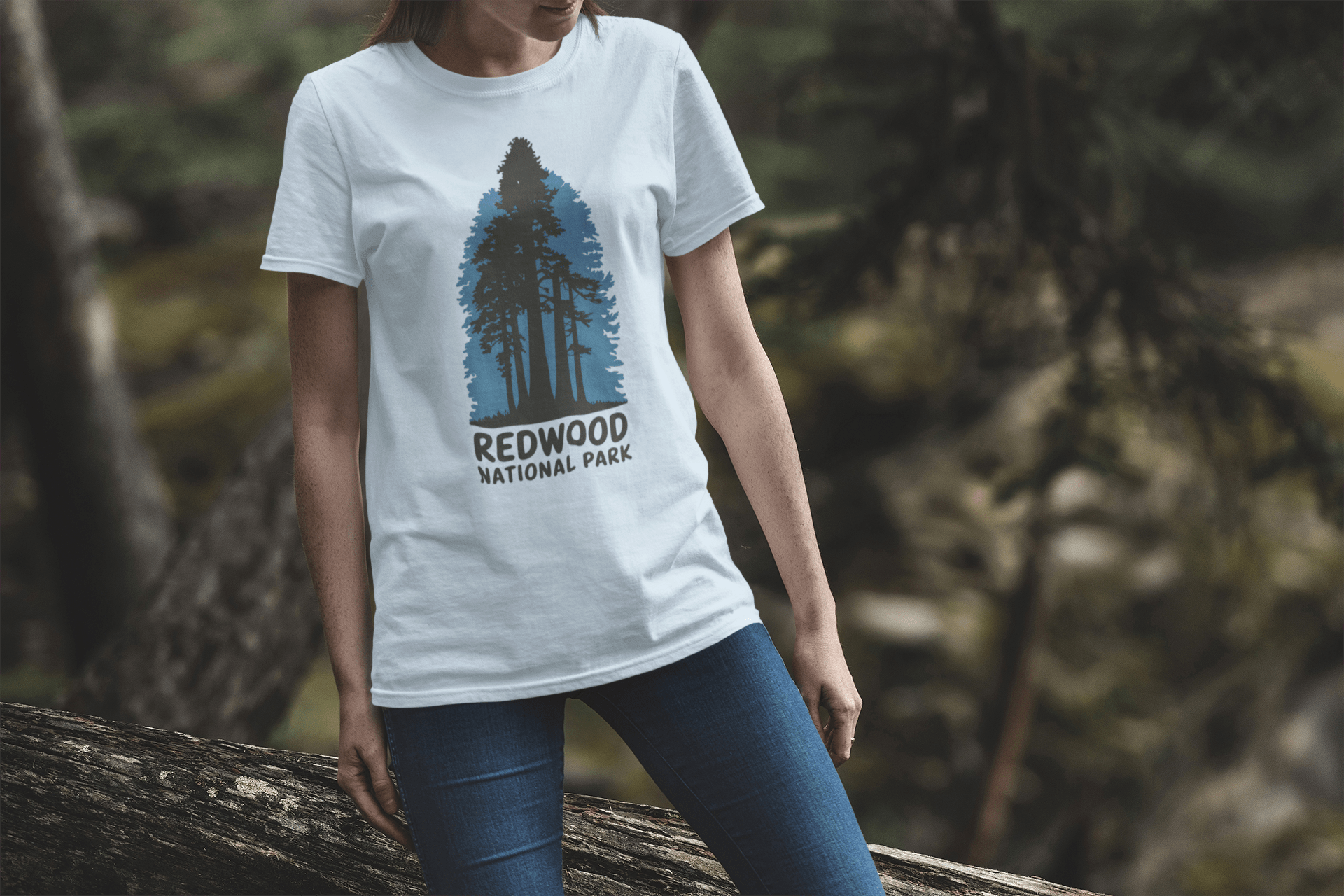 Redwood National Park shaded blue graphic t-shirt shown in lifestyle or modeled setting