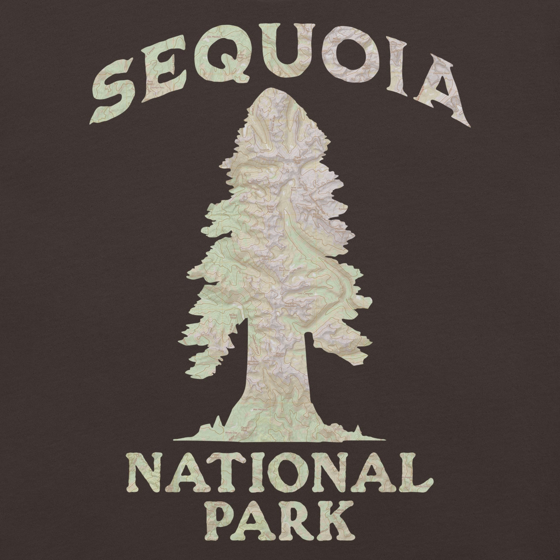 Sequoia Big Tree national park topo t-shirt shown in lifestyle or modeled setting