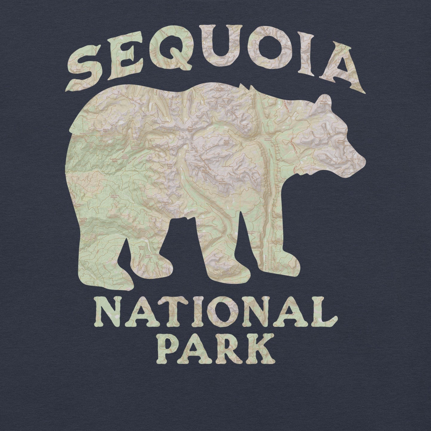 Sequoia Black Bear national park topo t-shirt shown in lifestyle or modeled setting