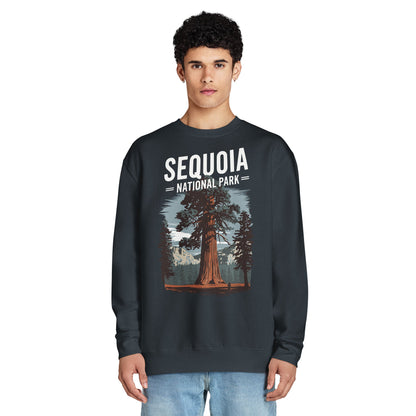 Sequoia crewneck sweatshirt alternate apparel color or product angle