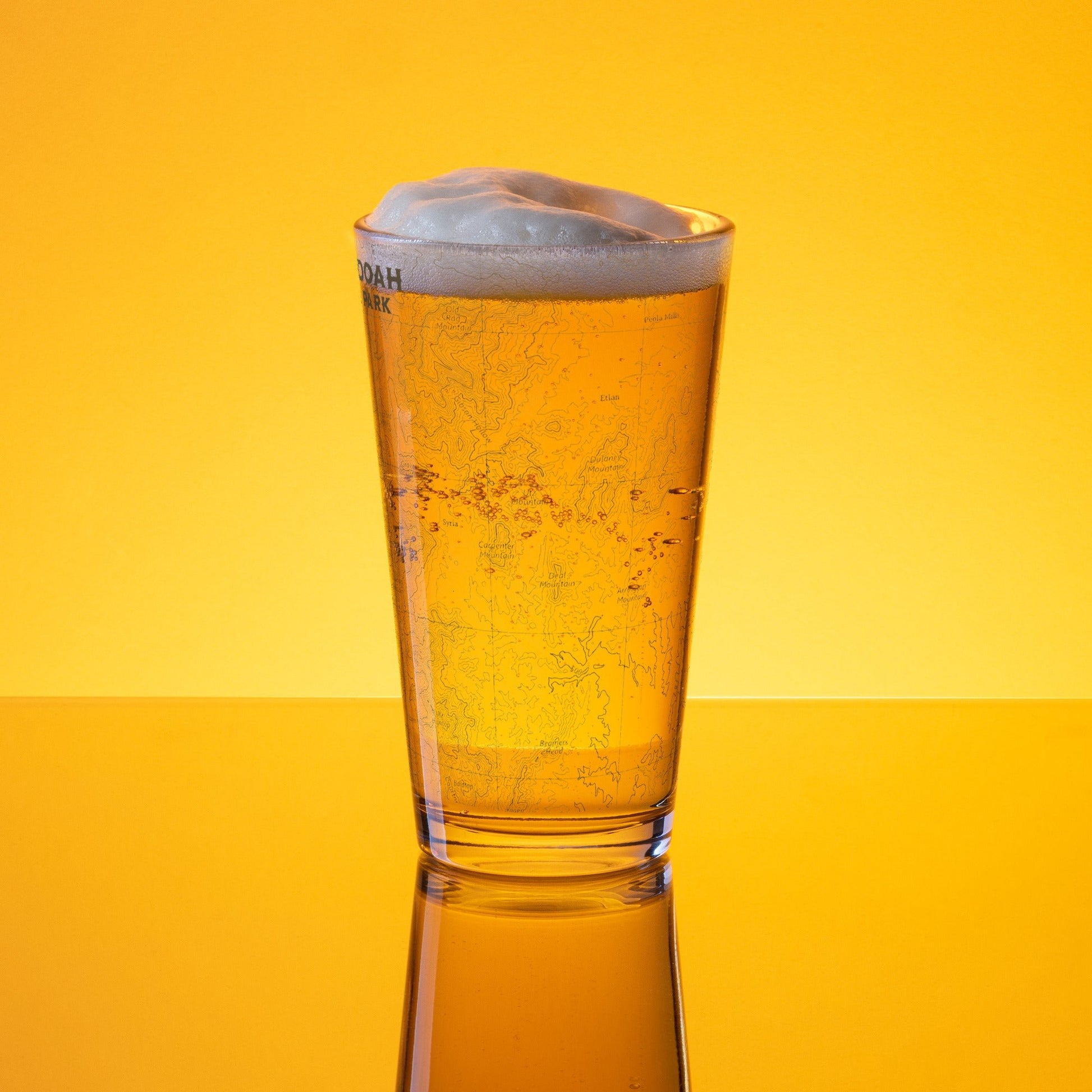 Shenandoah National Park topographic pint glass alternate product view